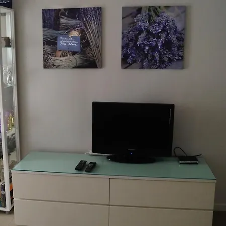 Daire Lilies Süzebolu