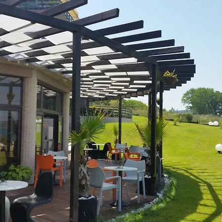 Lilies Daire Süzebolu