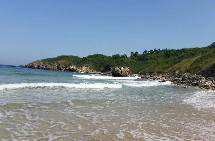 Apartamento Lilies *